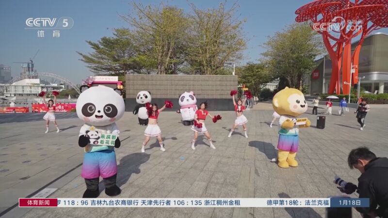 强调整体协